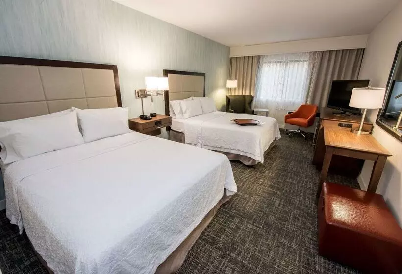 Hotel Hampton Inn Albany Western Ave/university Area