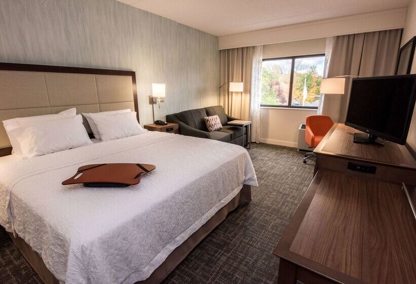 فندق Hampton Inn Albany Western Ave/university Area