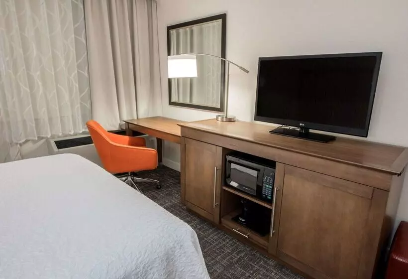 Hotel Hampton Inn Albany Western Ave/university Area