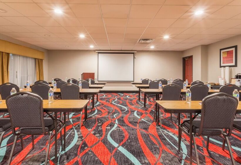 Holiday Inn Express Hotel & Suites Manteca, An Ihg