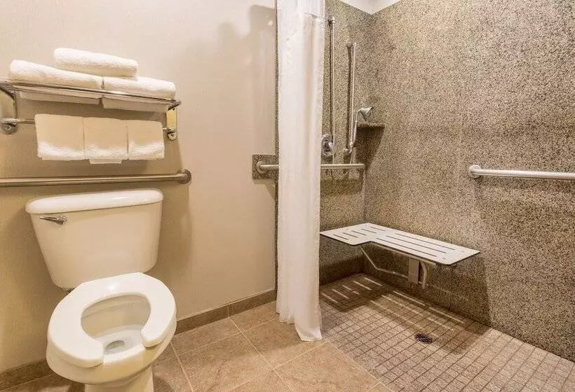 Holiday Inn Express Hotel & Suites Manteca, An Ihg