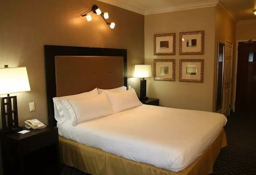 ホテル Holiday Inn Express San Pablo   Richmond Area, An Ihg