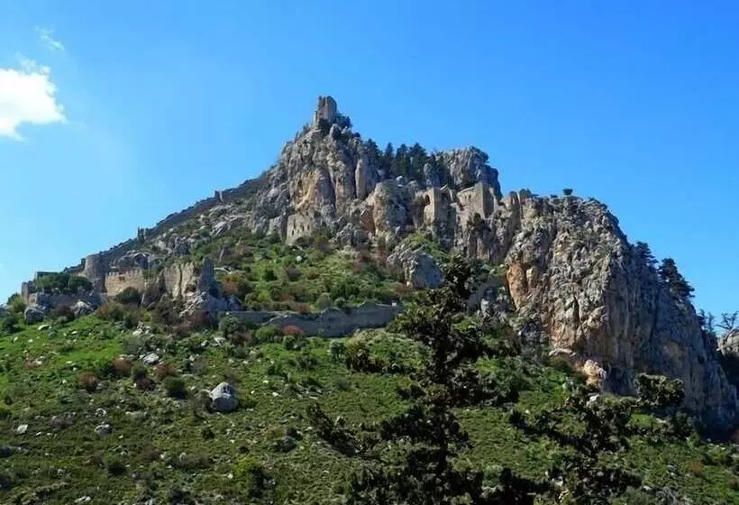 Отель Oscar Resort