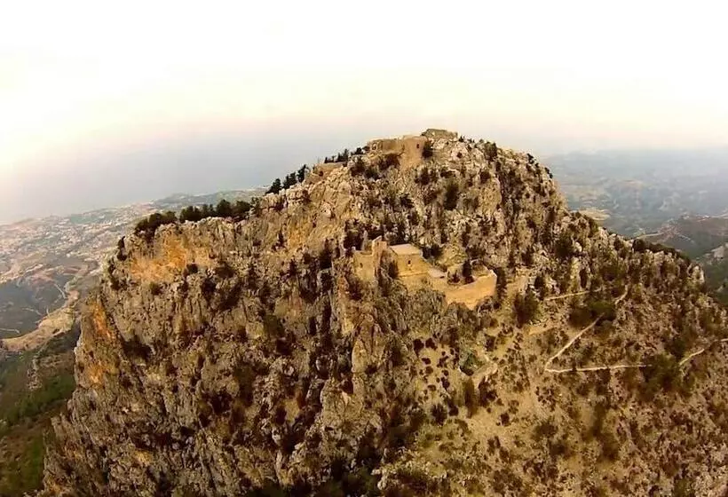 Отель Oscar Resort