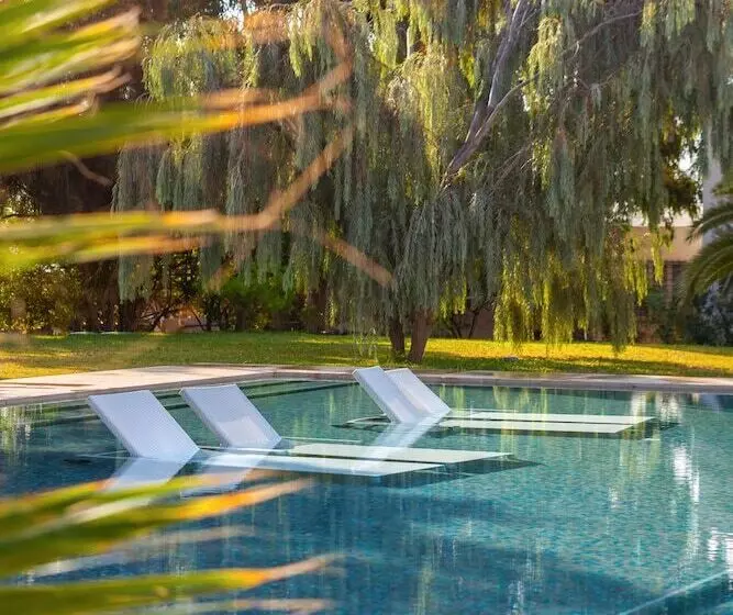 Oceana Hotel & Spa Focussed Adults