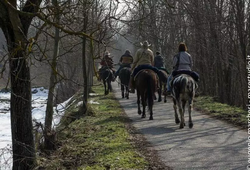 Park Hotel Salice Terme   Oltrepò Pavese