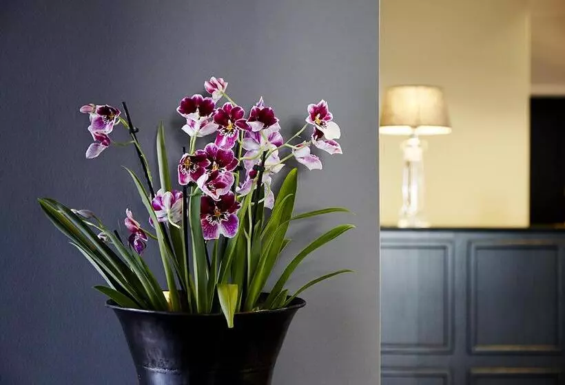 Best Western Plus Hotel Kronjylland