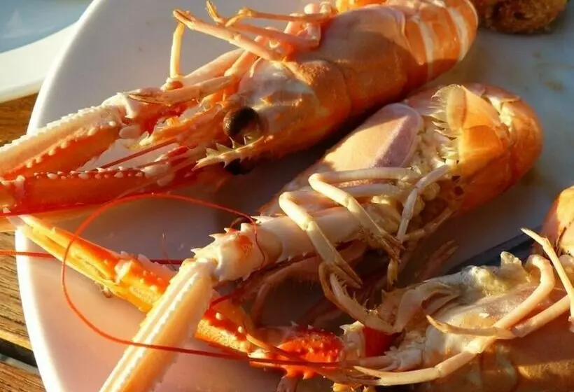 L  Eclose Cap Marine