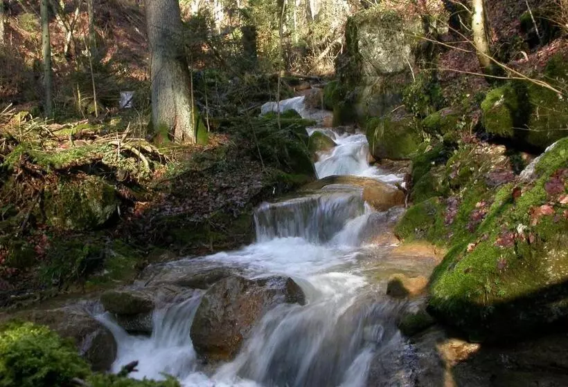 Отель Fontana Garni