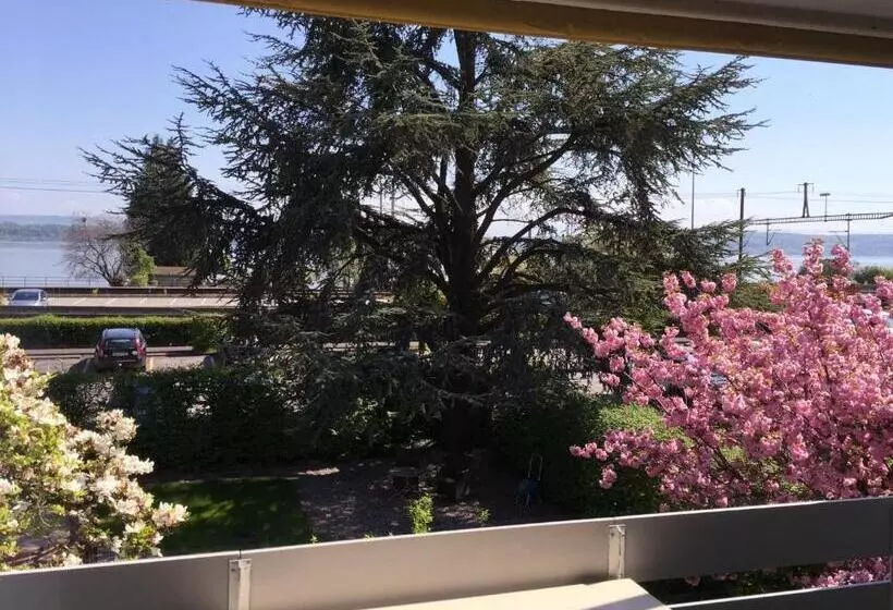 Отель Fontana Garni