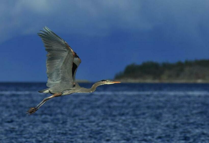 هتل Glen Lyon Inn