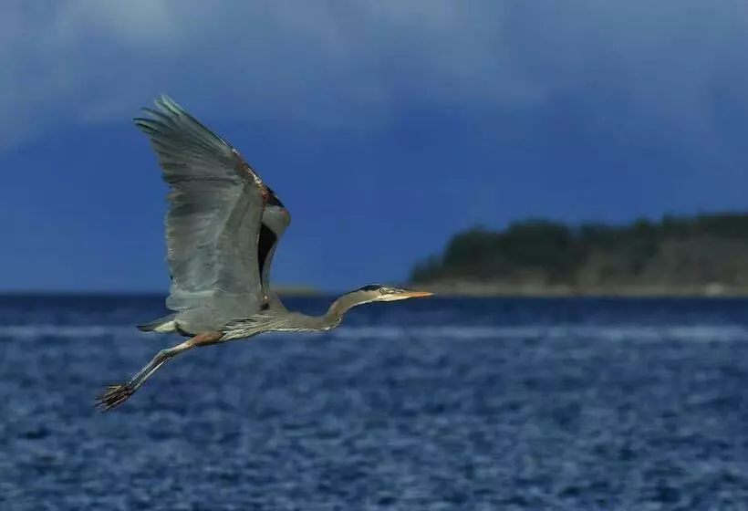 ホテル Glen Lyon Inn