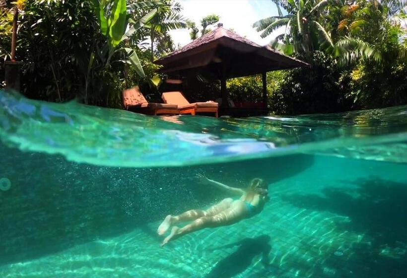 Hotel Jestate Villas & Guest Houses Jimbaran