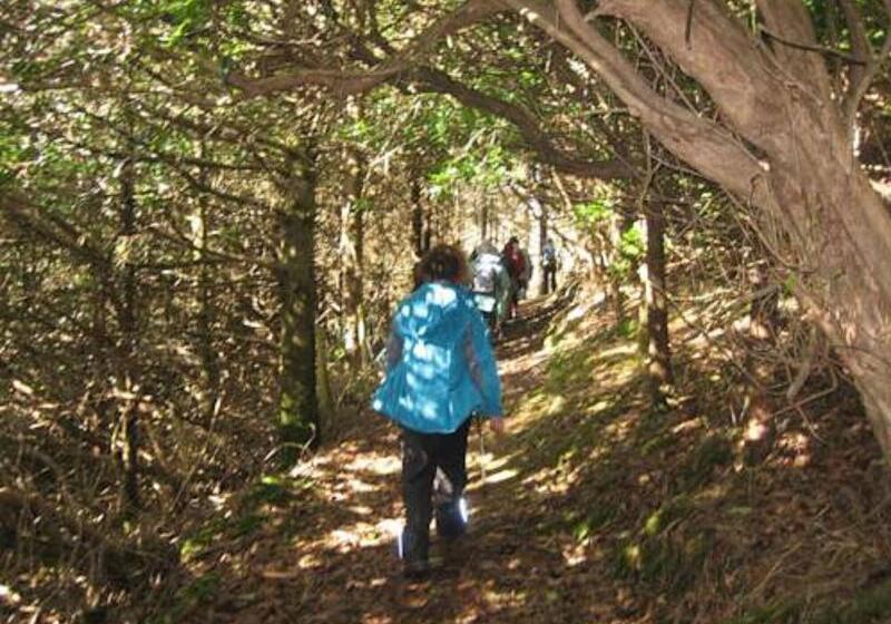 فندق Mulranny Park