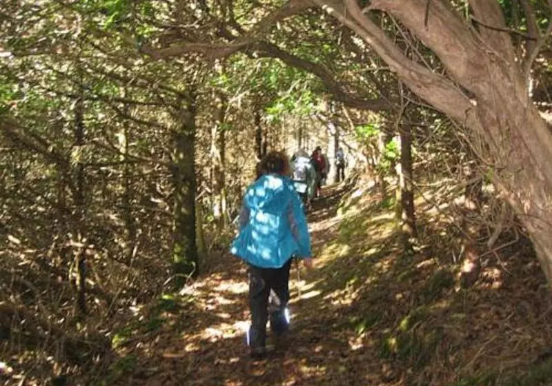 호텔 Mulranny Park