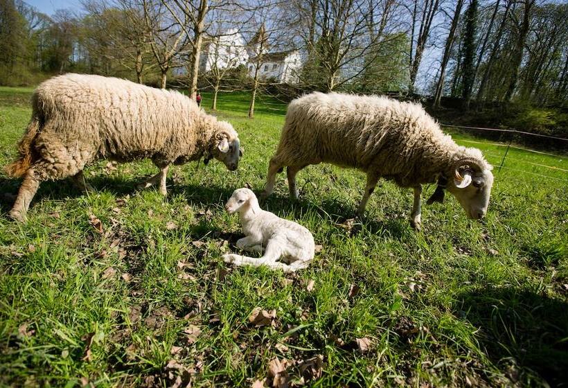 هتل Schloss Wartegg