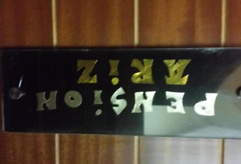 فندق فئة نجمة واحدة Pensión Ariz