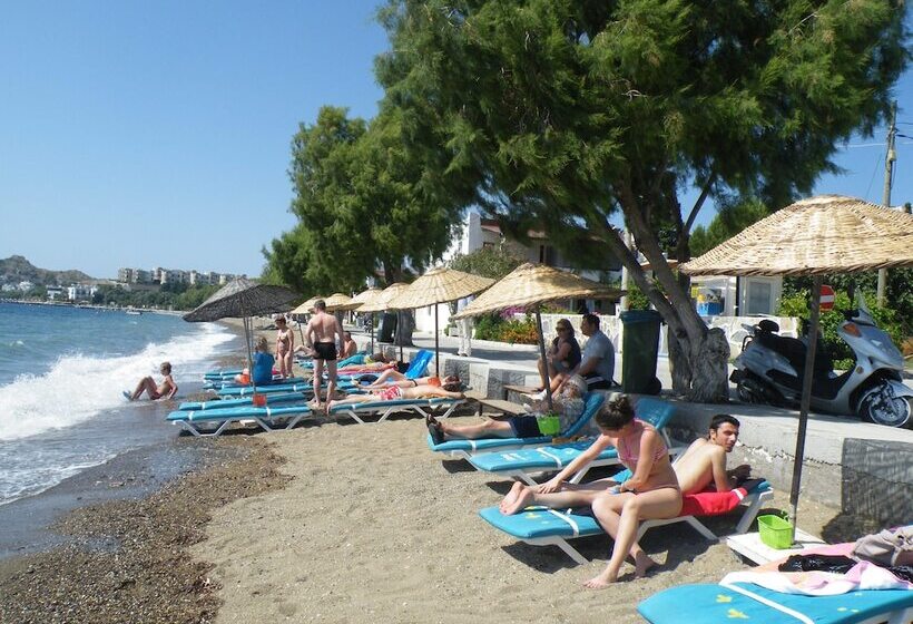 Отель Family Belvedere