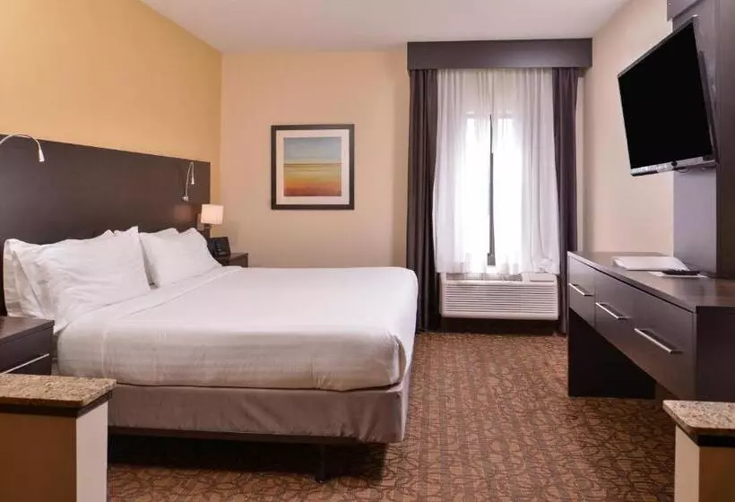 Hotel Holiday Inn Express & Suites Topeka West I 70 Wanamaker, An Ihg