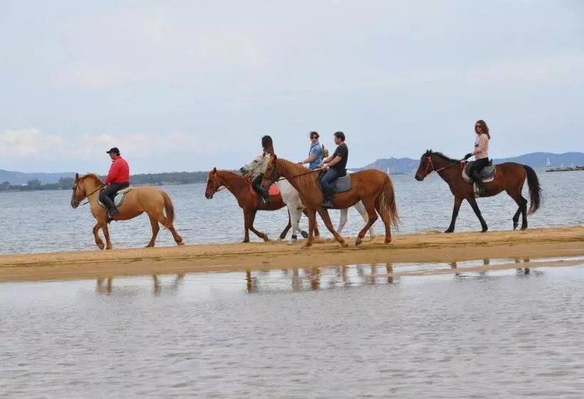 Felix Hotels Hotel Airone