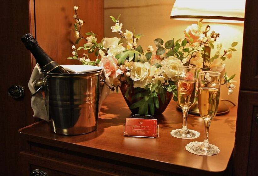 酒店 Belvedere Nevsky Business