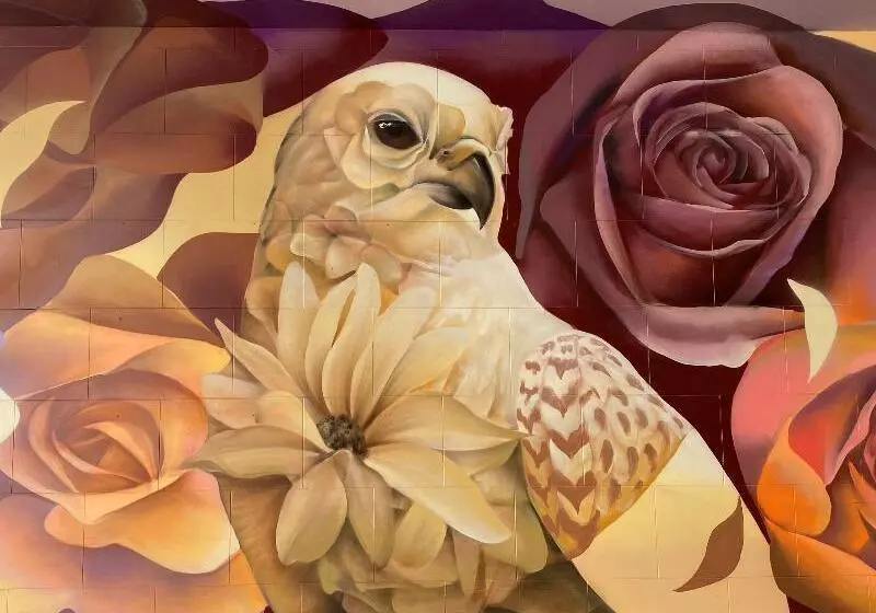 هتل The Fitzwilton