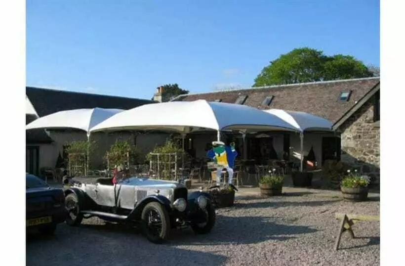 ホテル Wide Mouthed Frog  And Restaurant