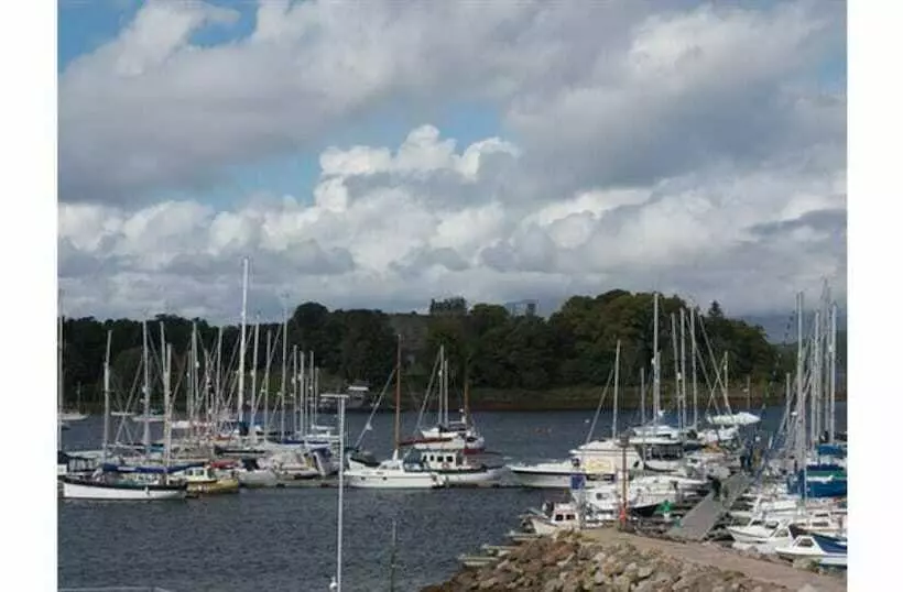 ホテル Wide Mouthed Frog  And Restaurant