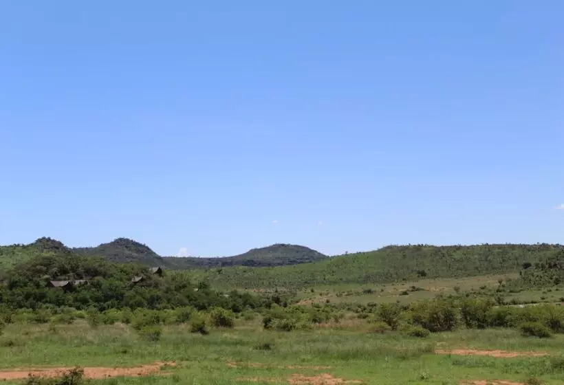 Отель Tshukudu Bush Lodge