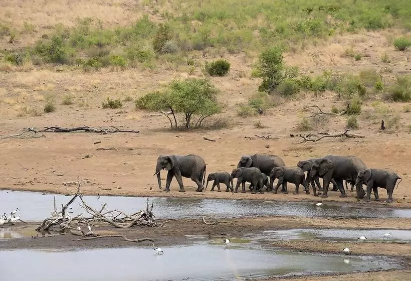 Отель Tshukudu Bush Lodge