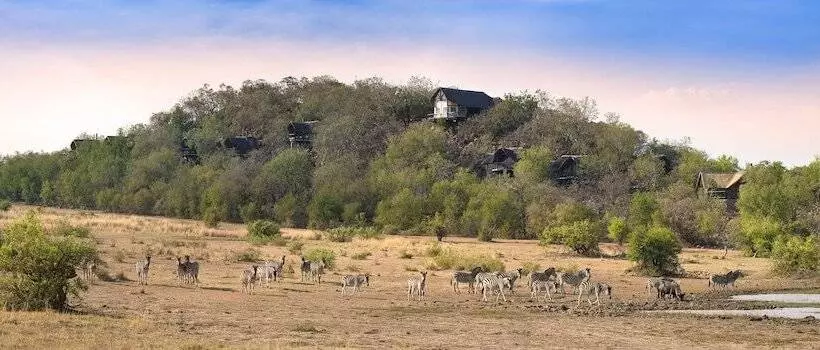 Отель Tshukudu Bush Lodge