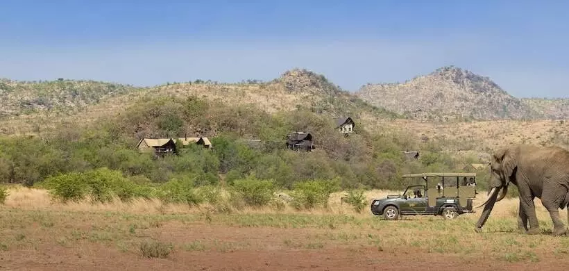 Отель Tshukudu Bush Lodge