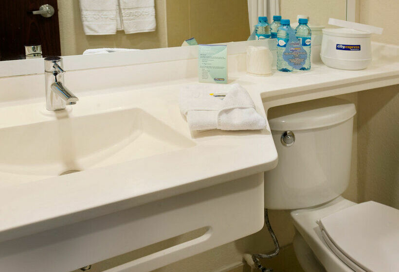 Hotel City Express Tepatitlán