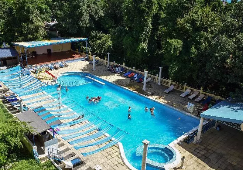 ホテル Dana Palace