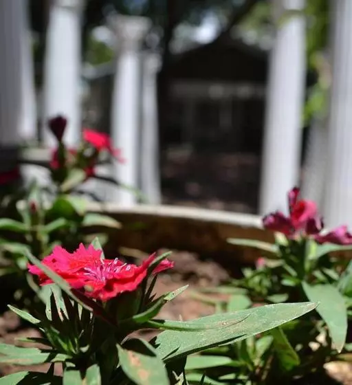 בית מלון כפרי Hobbit Boutique