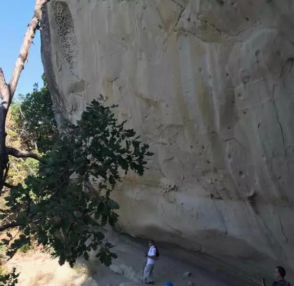 Отель Lodole B&b