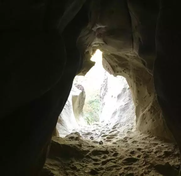 Отель Lodole B&b