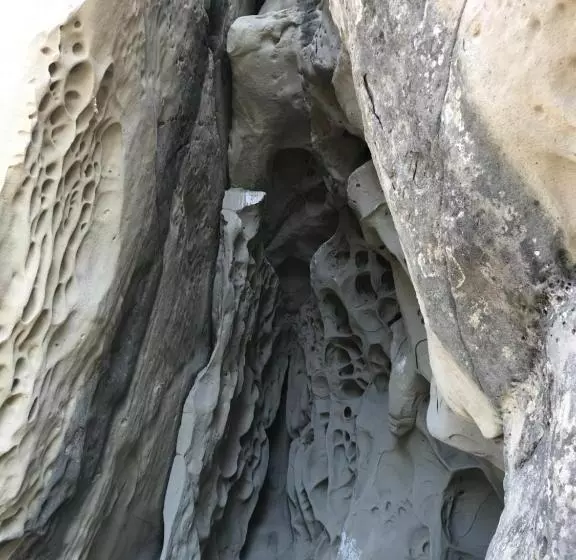 Отель Lodole B&b