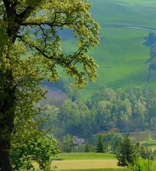 Отель Lodole B&b