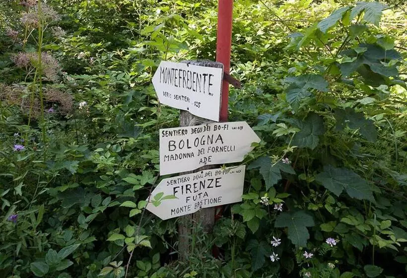 Отель Lodole B&b