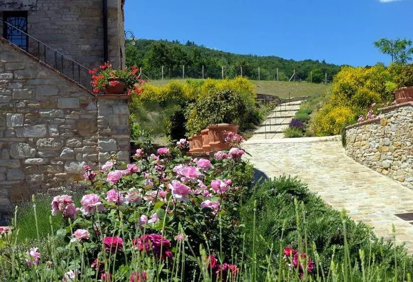 Отель Lodole B&b