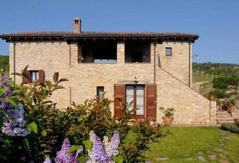 Отель Lodole B&b