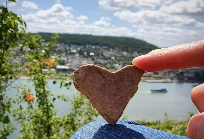 酒店 Altdeutsche Weinstube Superior