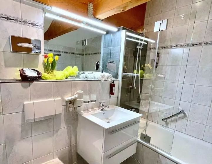 酒店 Altdeutsche Weinstube Superior