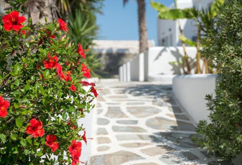 Summer Shades Hotel   Ex Arkoulis