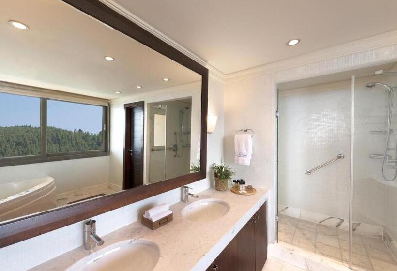 Hotel Porto Carras Meliton