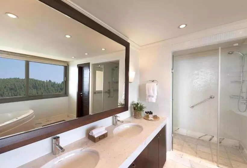 ホテル Porto Carras Meliton