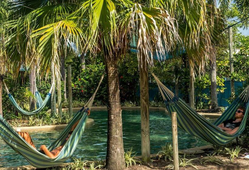 فندق Summer House Cairns