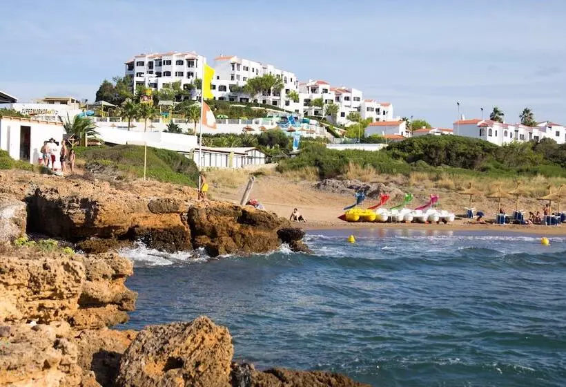 Fergus Club Carema Splash