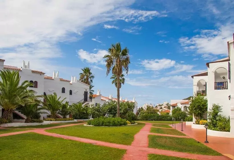 Fergus Club Carema Splash